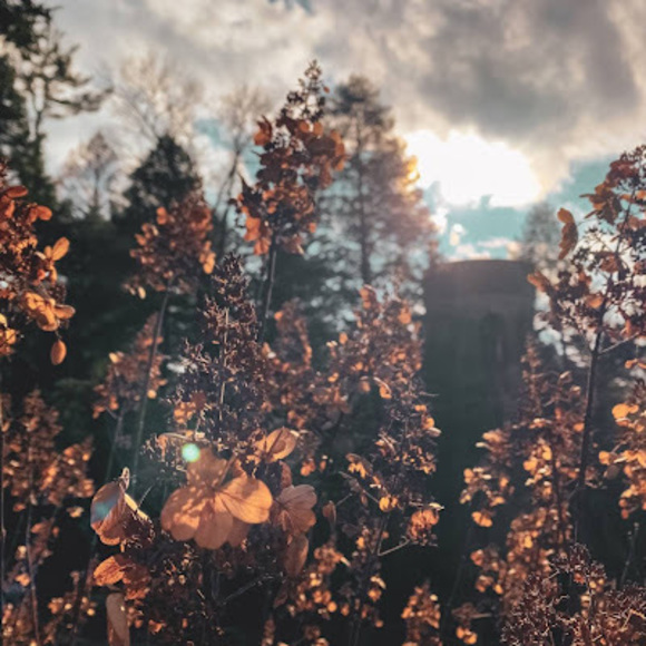 Meet your Posher, Emma - Picture 1 of 1